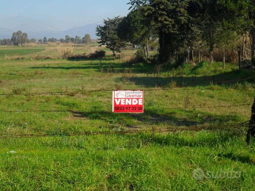 Terreno di 3500 m² a Cellole - Vista 4