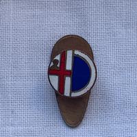 Distintivo da asola Mantova calcio