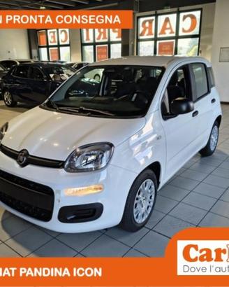 FIAT Pandina 1.0 FireFly 65CV Hybrid Icon (5 Pos