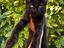 Immagine 1