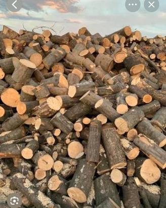 LEGNA PER STUFA