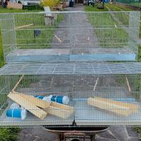 gabbia uccelli cm 120