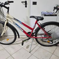 Mountainbike 26"