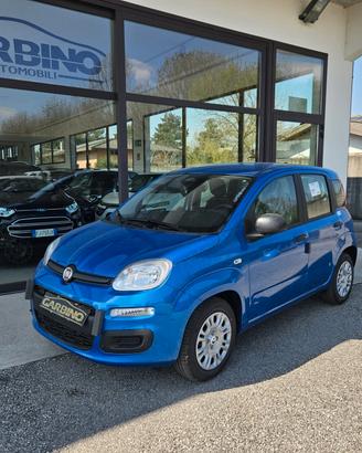 Fiat Panda 1.0 FireFly S&S Hybrid Icon