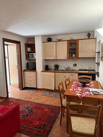 Bilocale ristrutturato con box