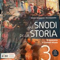 Gli snodi della storia