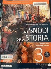 Gli snodi della storia