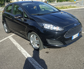 Ford Fiesta fine 2013