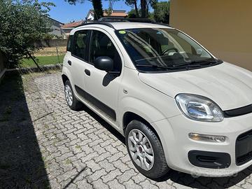 Panda metano