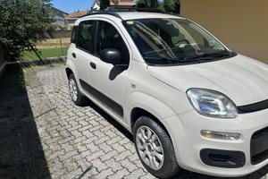 Panda metano