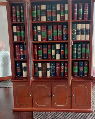 Mini libreria De Agostini completa