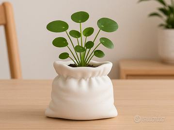 Vaso di design per piante grasse o finte
