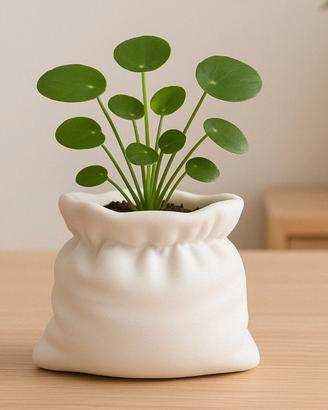 Vaso di design per piante grasse o finte