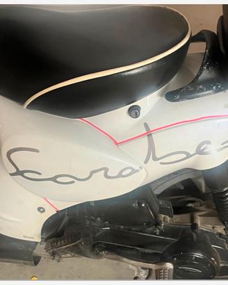 Scarabeo bianco 50 cc