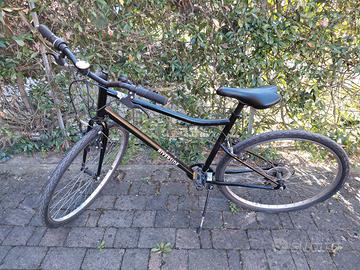 Bicicletta Riverside