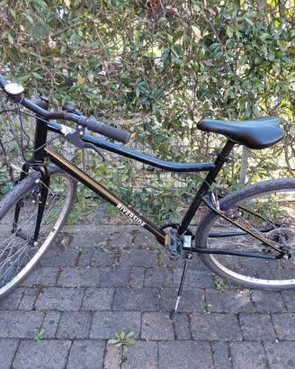 Bicicletta Riverside
