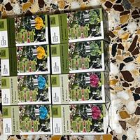 Set 8 lampade solari ricaricabili