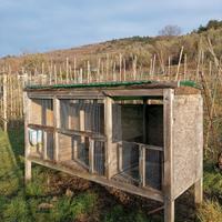 gabbia conigli animali da allevamento domestico