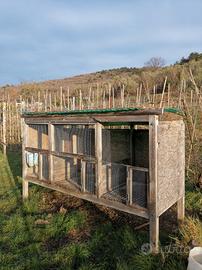 gabbia conigli animali da allevamento domestico