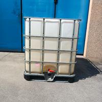 Cisterna in plastica 1000 L