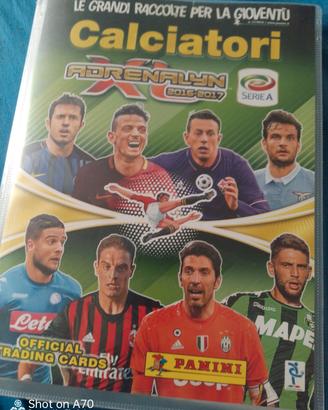 Adrenalyn card 2016/17