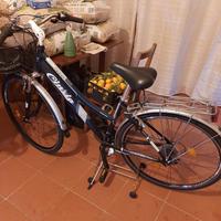 Bicicletta Cinzia con marce