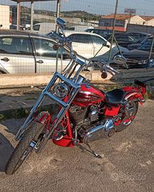 DYNA Low Rider CVO. S 110 ScreaminEagle.