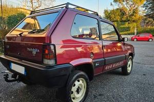 Fiat Panda 4x4 Sisley 1.0 benzina carcyti