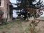 Immagine 7