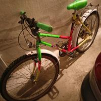 Mountain bike