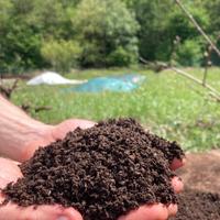 Humus di lombrico 100% Fertilizzante Naturale