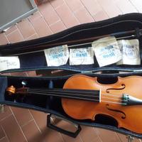 Violino