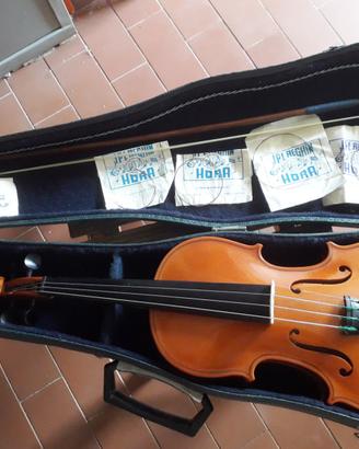 Violino