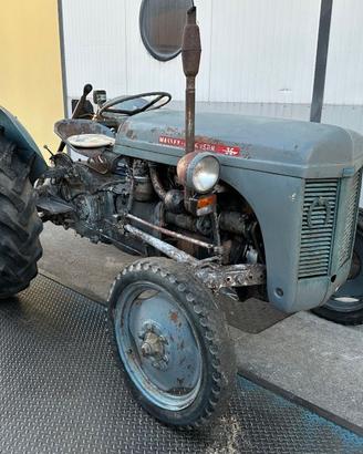 Trattore Massey Ferguson TE F20 - 30 cv
