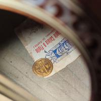 Mandolino professore Calace