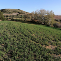 Terreni agricoli