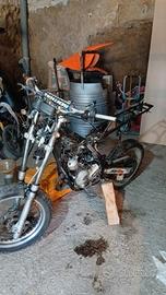 beta rr 50