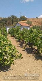 Terreno con fabbricato a Linguaglossa