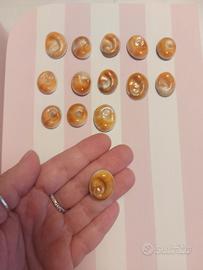 opercoli occhi di santa lucia