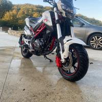 Benelli Naked - 2022