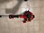 Immagine 2