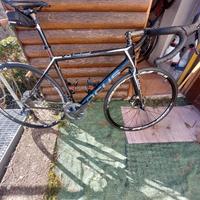 Focus Cayo disc