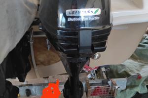 Suzuki 9.9 CV anno 2019