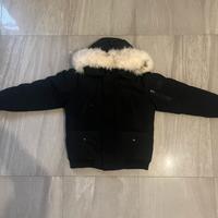 Canada goose