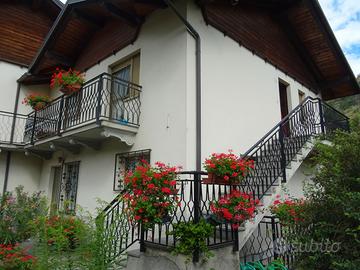 Imbocco valli del Gran Paradiso - giardino