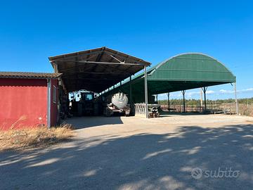 Azienda agricola di ettari 30 in unico corpo