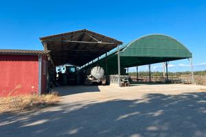 Azienda agricola di ettari 30 in unico corpo