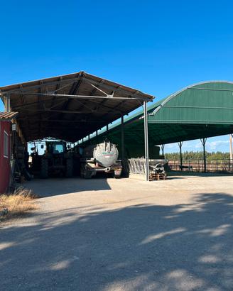 Azienda agricola di ettari 30 in unico corpo