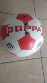 Pallone da calcio 