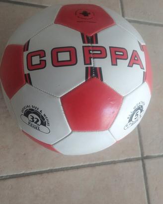 Pallone da calcio 